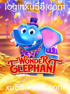 Explorando o Mundo de WonderElephant: Um Guia Completo para Iniciantes